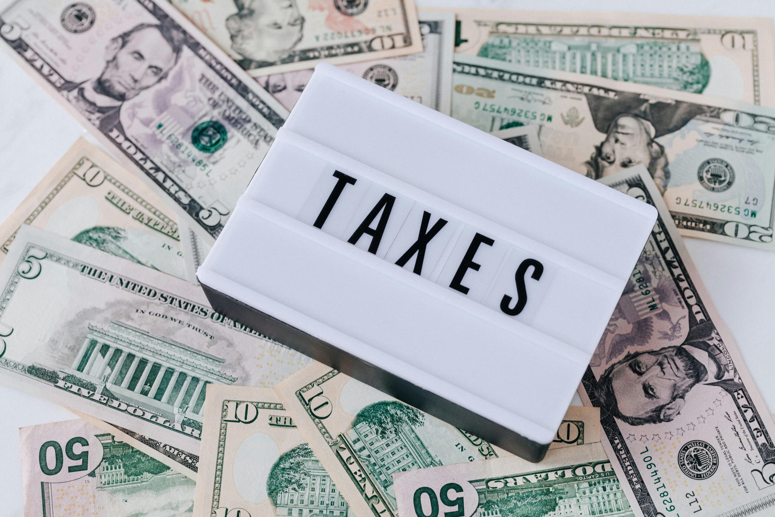 Understanding Taxpayers: Who They Are and Why They Matter